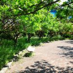 初めてベンチのありがたみを感じた